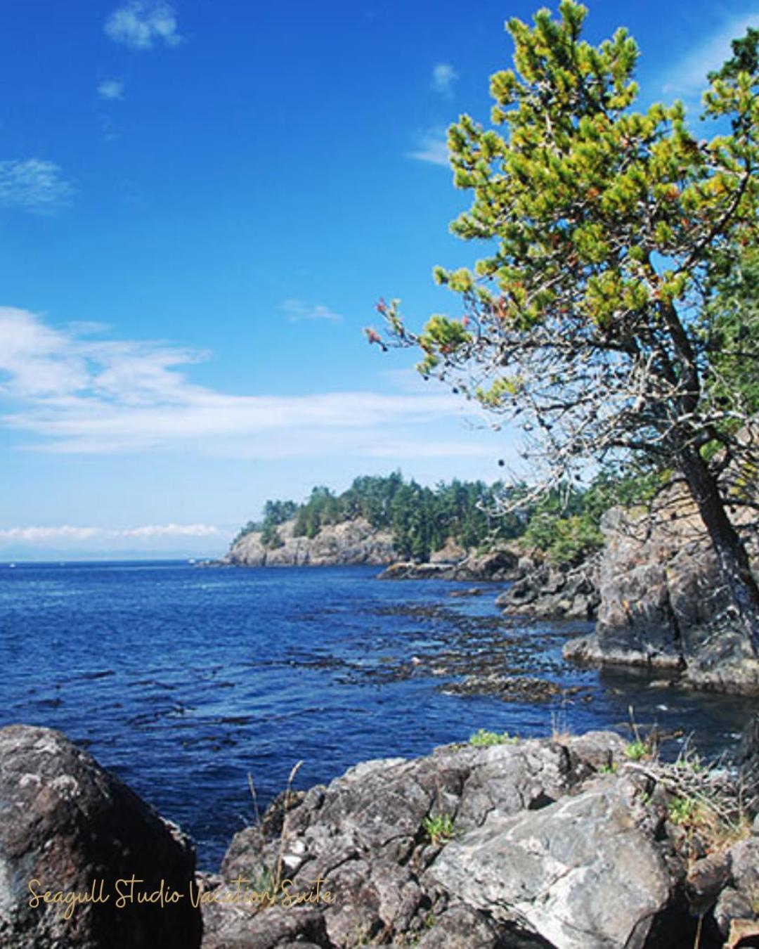 Seagull Studio Vacation Suite Sooke Kültér fotó