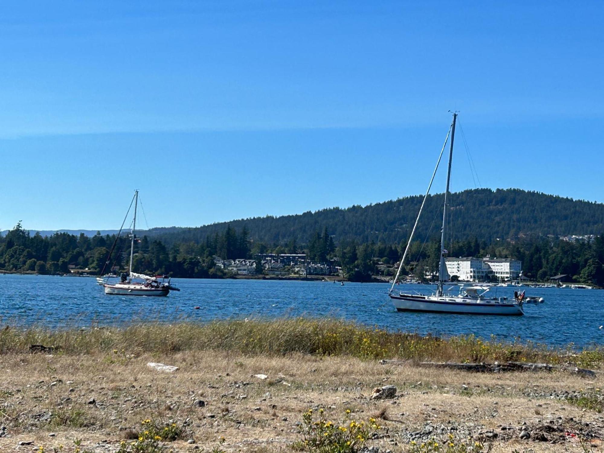 Seagull Studio Vacation Suite Sooke Kültér fotó
